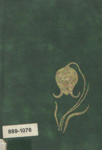 Ματωμένη πορεία